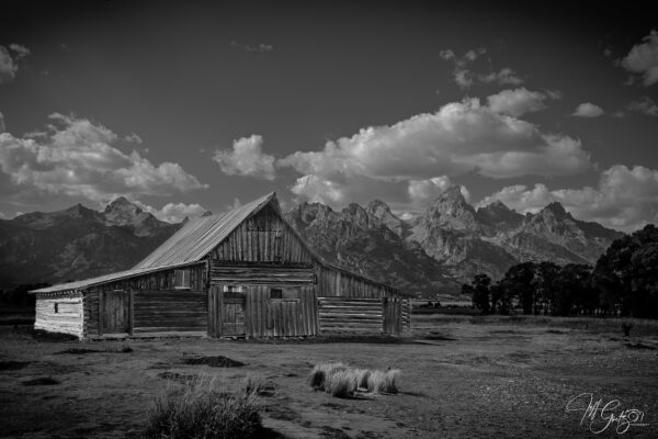 DSC_4166-FAA-logo-BW-HP-GT-barn DSC_4166-FAA-logo-BW-HP-GT-barn